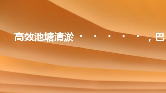 高效池塘清淤，巴洛仕設備助您一臂之力